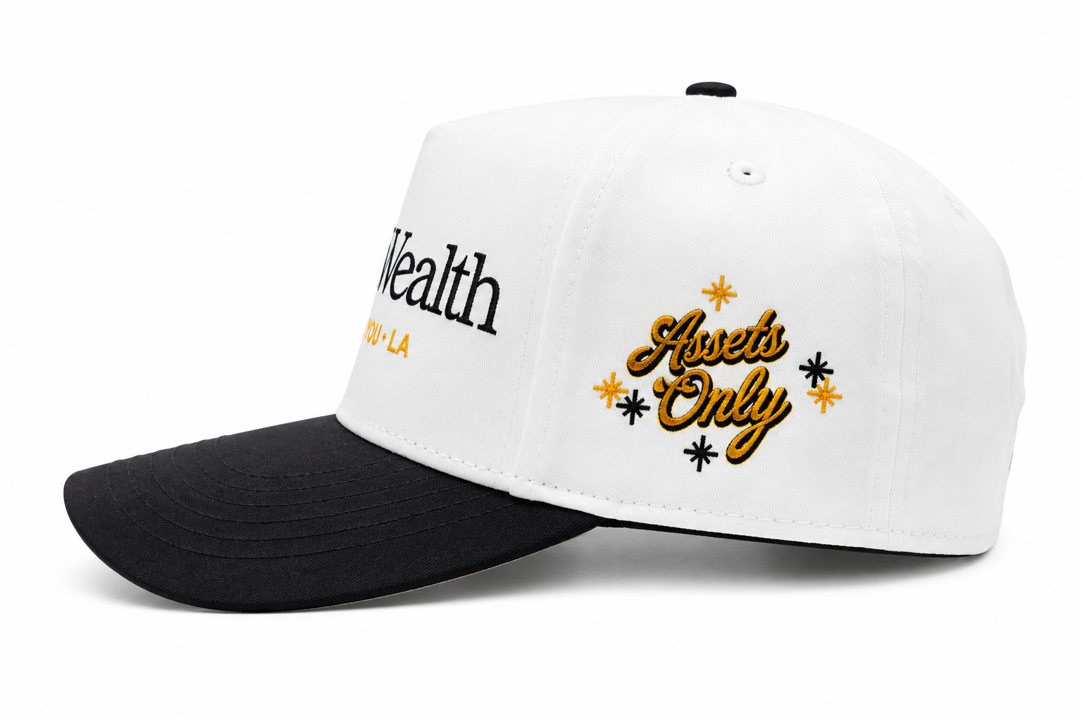 BLACK WEALTH Snapback