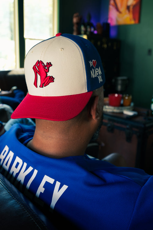 NY COQUI SNAPBACK - TRI COLOR