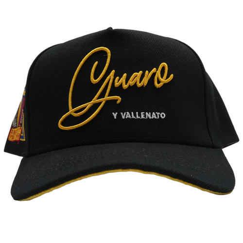 GUARO Y VALLENATO SNAPBACK